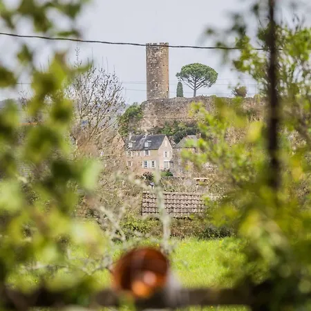 La Maison D'adèle Hébergement de vacances