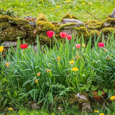 La Maison D'adele Tatil Evi