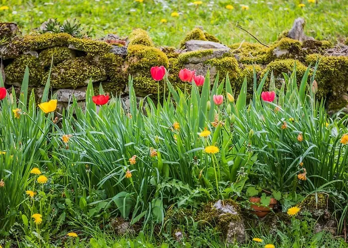 La Maison D'adele Vakantiehuis